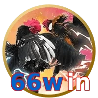 66win